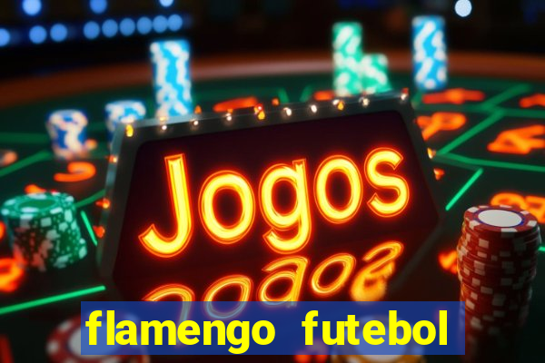 flamengo futebol play hd